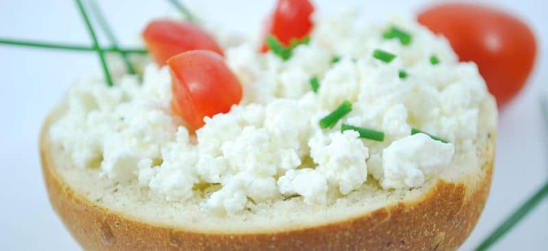 German Dairy Case Study