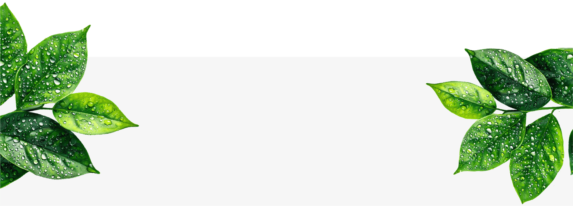 Horizontal Banner
