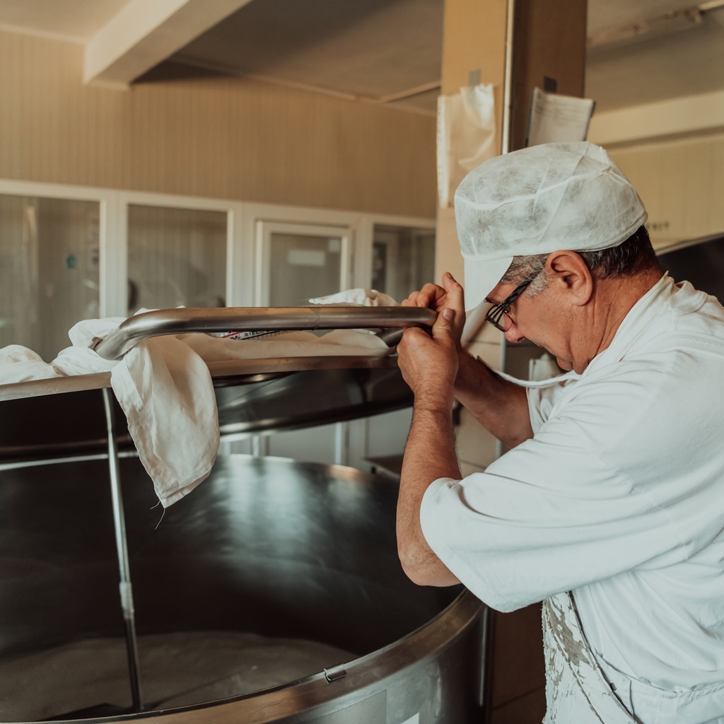 Dairy factory worker
