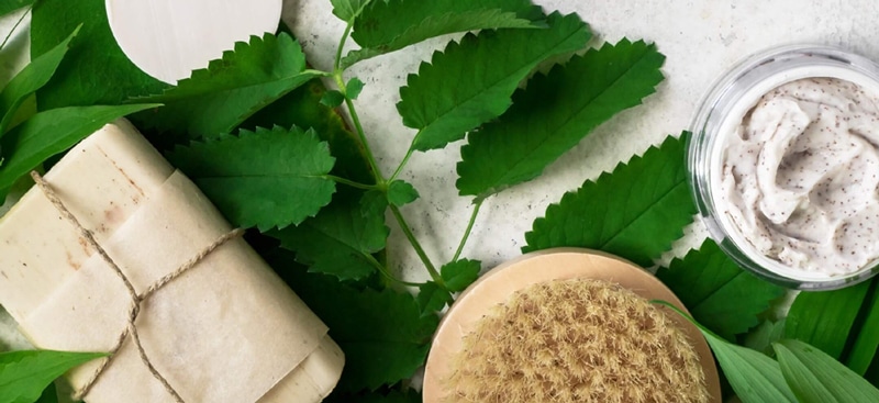 Plant upgrades drive a greener future 1