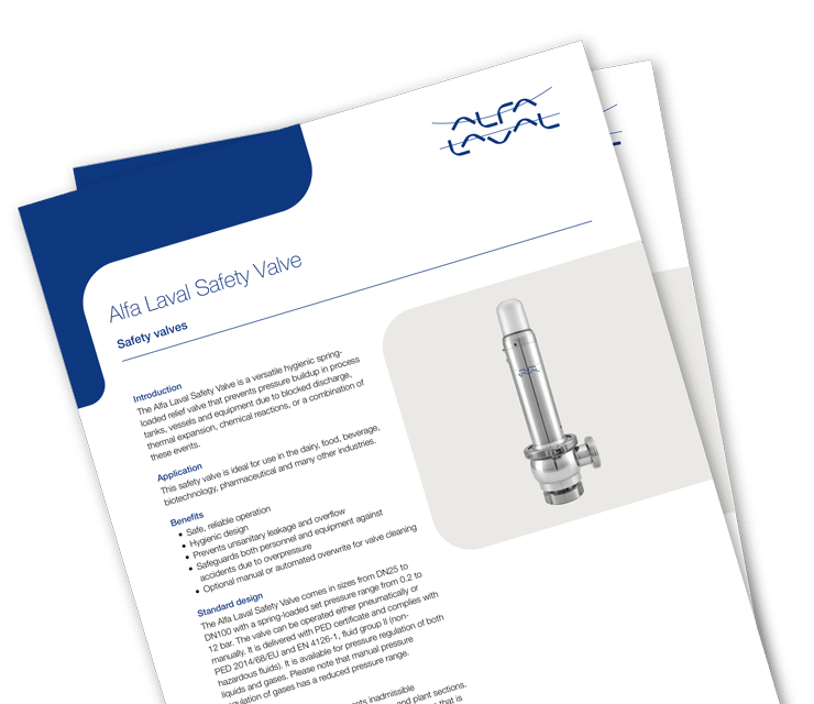 Safety Valve SS