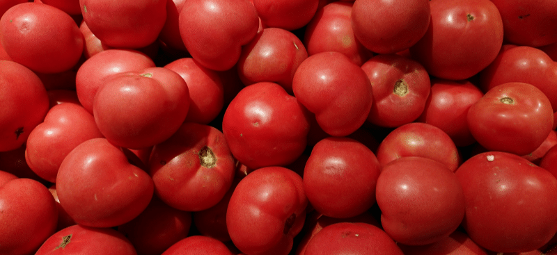 Tomato Based Case Study