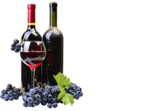 Wine Production 1 e1743769112858