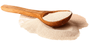 Yeast Tanks 1 e1744010491649