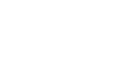 Asset 88